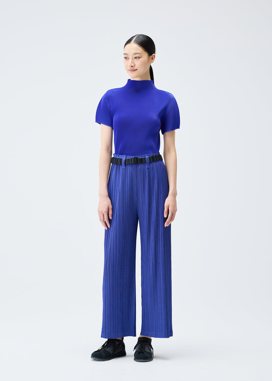 PLEATS BELT、アクセサリー&その他_アクセサリー、着用画像1