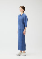 COTTON DENIM、ウィメンズ_スカート、着用画像2
