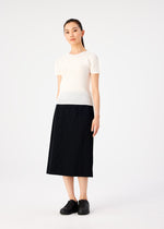 FINE KNIT PLEATS BLACK、ウィメンズ_スカート、着用画像1
